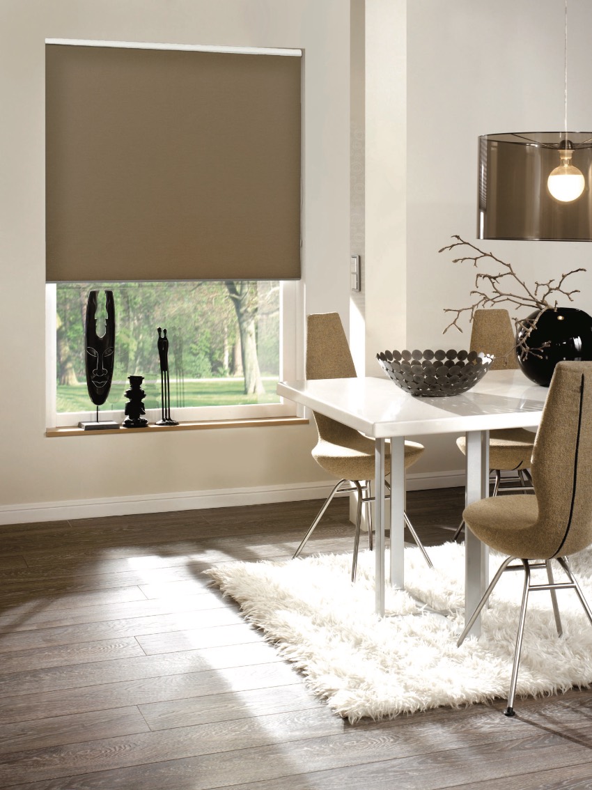 Rollerchadesincontemporaryroom