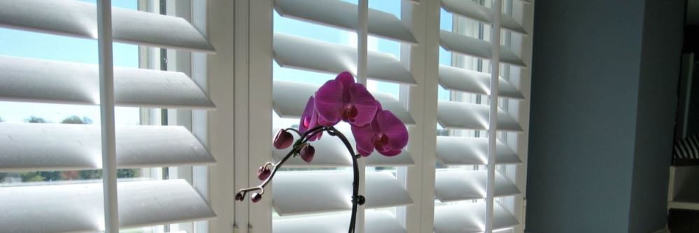 Plantation shutters
